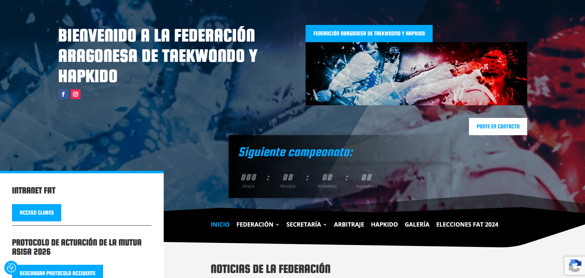 fedaragontaekwondo.com_